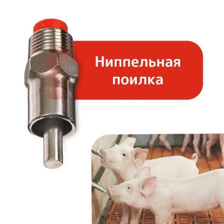 Drill Nipple for pigs, thread diameter 1/2 ", metal, Greeengo