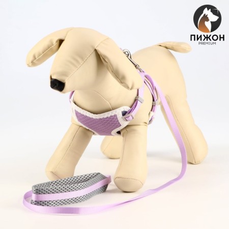 A set of ammunition with a soft harness, s, leash 120 x 1 cm, Osh 20-35 cm, og 20-35 cm, lilac 71490