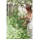 Builder for flowers, d = 20 cm, h = 120 cm, leg d = 1 cm, metal, green