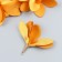 Decor for creativity Textile "Bun, mustard color" set 6 pcs 6 cm