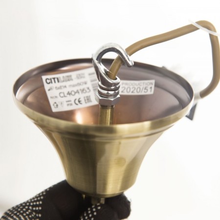 Suspended chandelier Citilux "Carmen" CL404183, 80x80x60 cm, 8x60W, E14, brown color-18