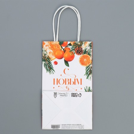 Package Gift Crafts "New Year's Citrus", 12 x 21 x 9 cm, New Year-7