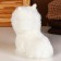 Soft toy "Lama", 20 cm, white color
