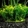 Artificial aquarium plant, 15 cm, green