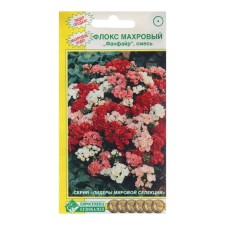 Flocus Seeds Terry 