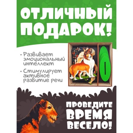Game set "Dogs service"-4