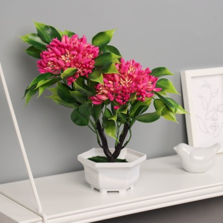 Bonsai in the pot "Ashoka room" 23x11 cm, mix