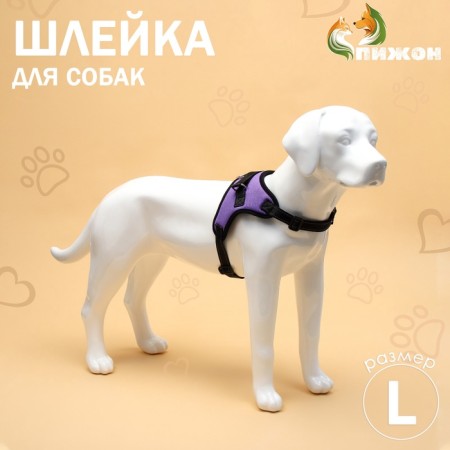 Shleka K7 soft reflective, size l, og 64-86 cm, weight 18-27.5 kg, purple