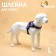 Shleka K7 soft reflective, size l, og 64-86 cm, weight 18-27.5 kg, purple
