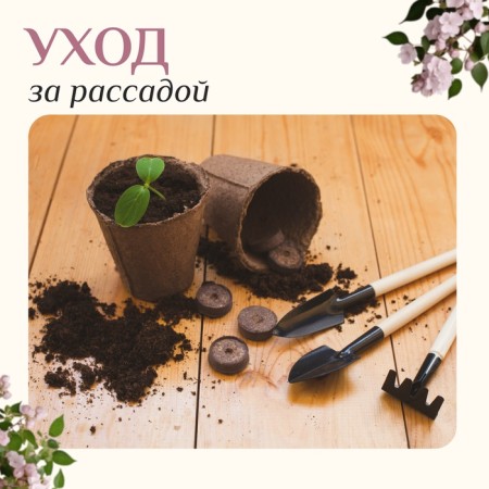 A set of garden tools, 3 objects: rake, 2 blades, length 24 cm, wooden handles, Greengo-3