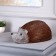 LED figure "Hedgehog" 35 × 16 × 20 cm, acrylic, 30 led, 220 V, glow of white