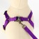 Set "Basis", leash 120 x 1.5 cm, OG 32-46 cm, purple