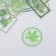 Stickers for creativity "Tags - green leaves" set of 30 pcs 0.2x8x11 cm