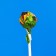 Caramel Lollice "Cheburashka Sweet Bar", on a stick, assorted, 11 g