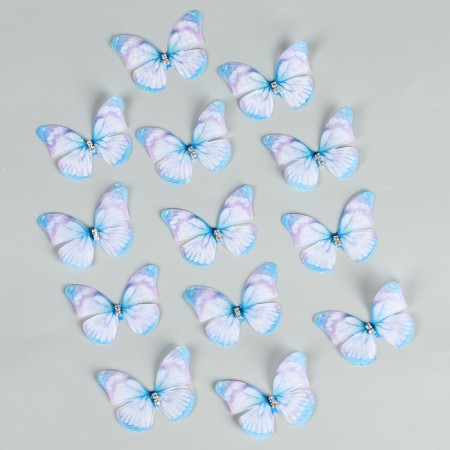 Decor for creativity "Butterfly", two -layer, set of 12 pcs., Size 1 pc. - 5 × 4 cm, blue color-1