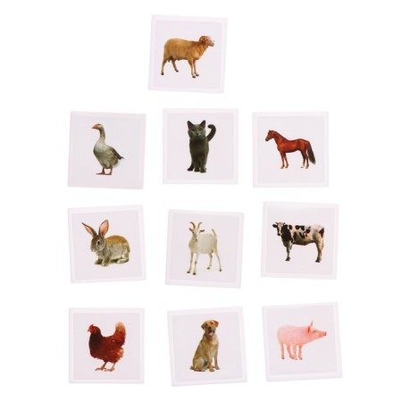 Useful suitcase "Pets", according to the methodology of Doman, plastic chips-1