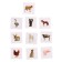 Useful suitcase "Pets", according to the methodology of Doman, plastic chips