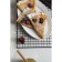 Porcelain dining plate Magistro "glare", 25 × 16.5 × 1.5 cm, white color