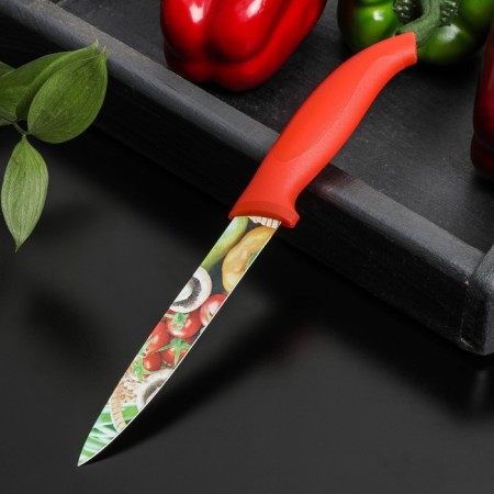 Kitchen knife with an anti -wagoning coating of the crop “crop” universal, blade 12.5 cm