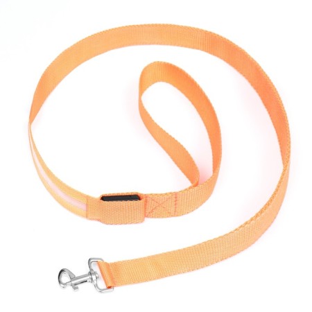 Landing with lighting 3 glow modes, 120 x 2.5 cm, orange-1