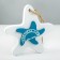 Interior souvenir "Sea star" 10*10cm