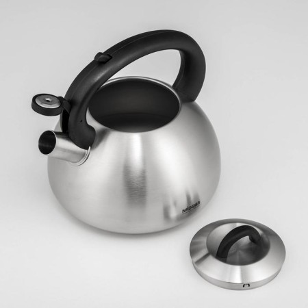 A kettle with a whistle Nadoba Virga, 3.8 l-1