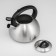 A kettle with a whistle Nadoba Virga, 3.8 l