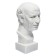 Gypsum figure Roman head, 25 x 25 x 60 cm