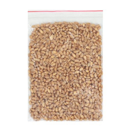 Tray for germination of grass to cats 26.5 x 17.5 x 5 cm-5
