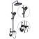 The shower system Fashun A2483-17, stand, hygienic and hand watering can, brass, graphite