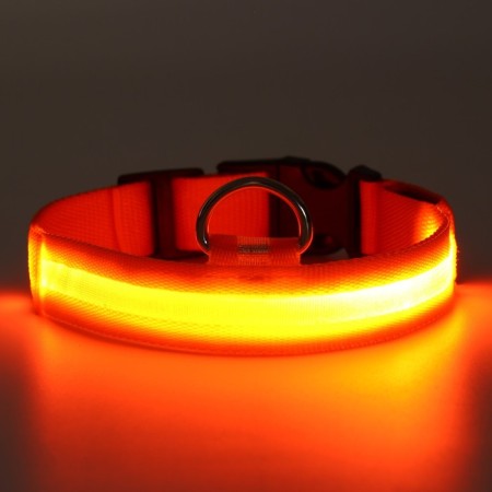 Collar with backlight size L, Osh 45-52 x 2.5 cm, 3 lumines of the glow orange-10