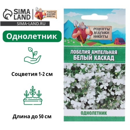 Lobelia flower seeds ampel "White Cascade", 5 pcs.