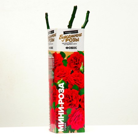 Fobos spray seeding seedlings, 1 pc, spring 2024-1