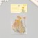 Plastic stickers "Autumn flowers. Yellow" set 40 pcs 15x8 cm