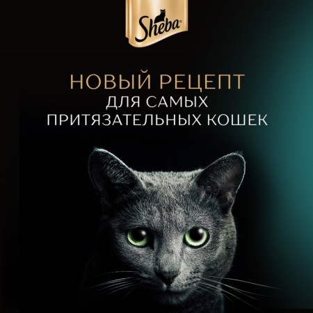 SHEBA wet food for cats, chicken and rabbit of slices, spider, 75 g-3