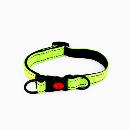 A collar with a nylon lining with fastx 2 cm, a green-2