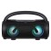 Portativana column Boom, 10 watts, 1200 mAh, BT, FM, backlight, black