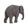 Figure Konik "Asian Elephant"
