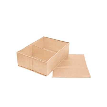 Organizer 50x36x16 cm, 2 cells-2