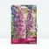 Dolphinium Pacific Astolat, Rr. I, 1 pc, spring 2025