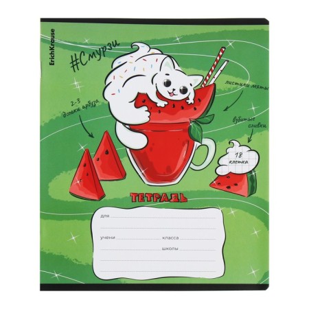 Notebook of 18 sheets in the Erichkrause "Smurzi", the cover coated cardboard, block offset, mix-5