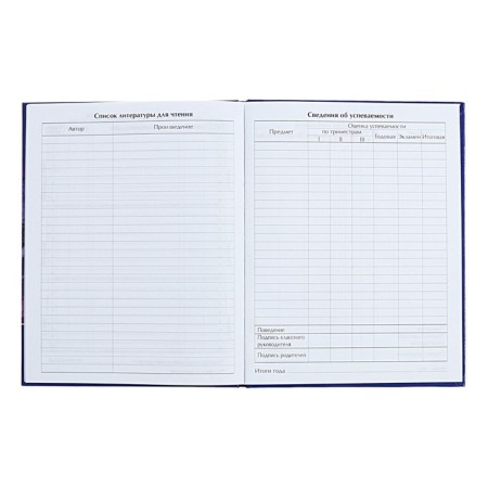 Universal diary for grades 1-11 Iceberg in the Ocean, hard cover, glossy lamination, 40 sheets-7