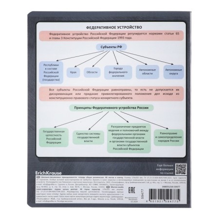 Subject notebook, 48 sheets, cage, social studies Erichkrause "Chubrik", plastic cover silk-screen cover, Blok OFSET 100%, information block-5