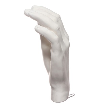 Gypsum figure anatomical details: "Women's brush" 18.5 cm-5