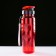 Water bottle, 650 ml, 23 x 7 cm, mix