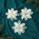 Christmas tree decoration "Flowers snowy" (set 3 pcs) carved, 10 cm, white