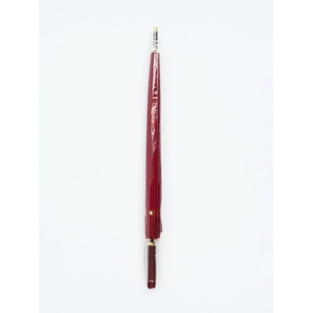 Umbrella is a s/auth r51/60 16sp n/u/u plain a straight handle to leatzers borders packet-4