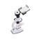 Microscope 100/450/900X Smart (8012)