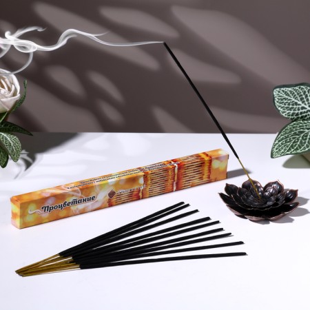 Incense "relaxation of prosperity", 20 sticks in packaging