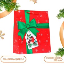 Gift Package 